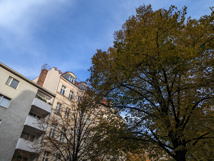 Das gleiche Motiv, mit dem Pixel 7 Pro aufgenommen (Bild: Tobias Költzsch/Golem.de)
